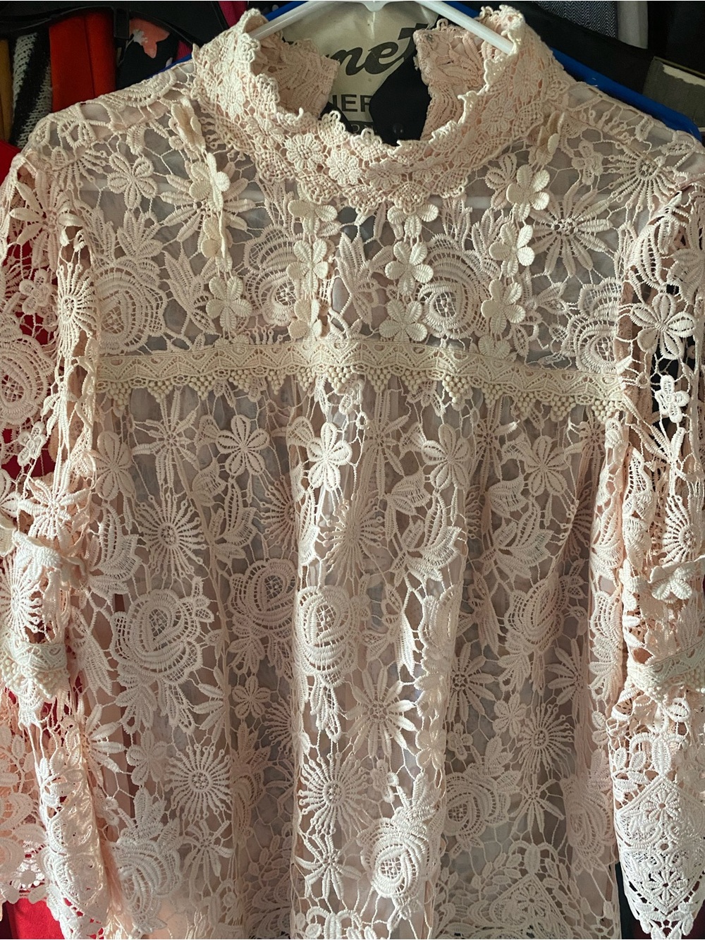 Anna Sui Pale Pink Floral Lace Mock Neck Blouse